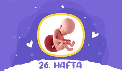26 haftalık gebelik